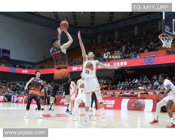 山东高速队主场大胜对手，再现篮球霸主风采