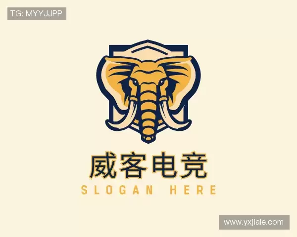 了解威客电竞最新地址