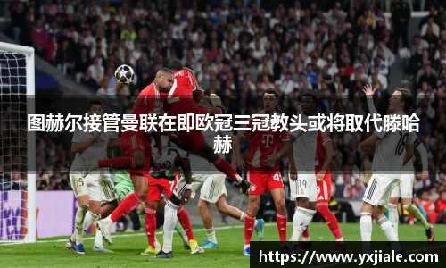 威客电竞官网入口