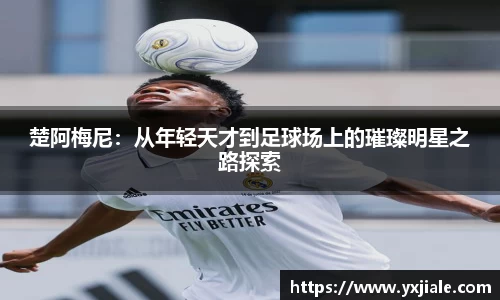 威客电竞手机网页版登录